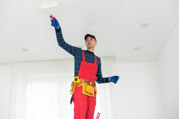 Best Fire-Damaged Drywall Repair  in Ramsey, MN