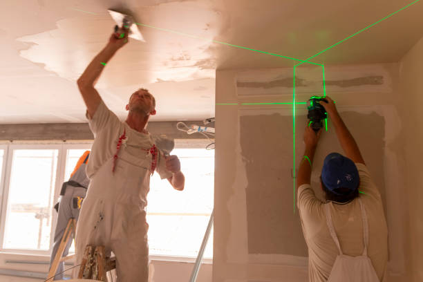 Best Ceiling Drywall Installation  in Ramsey, MN